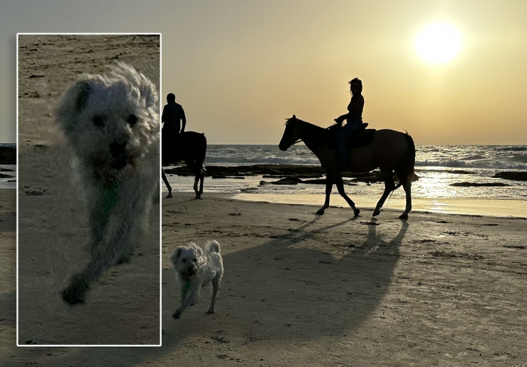 iPhone 14 Pro: שדרוג מינימלי